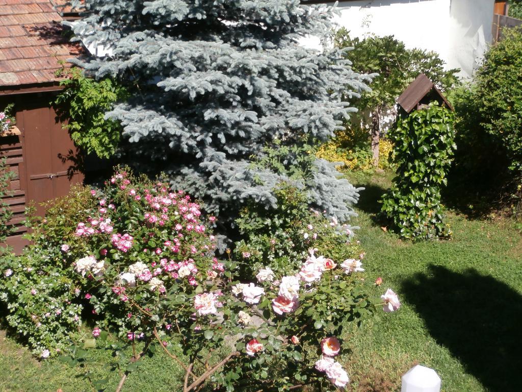 Apartman Rachegy Eger Zewnętrze zdjęcie