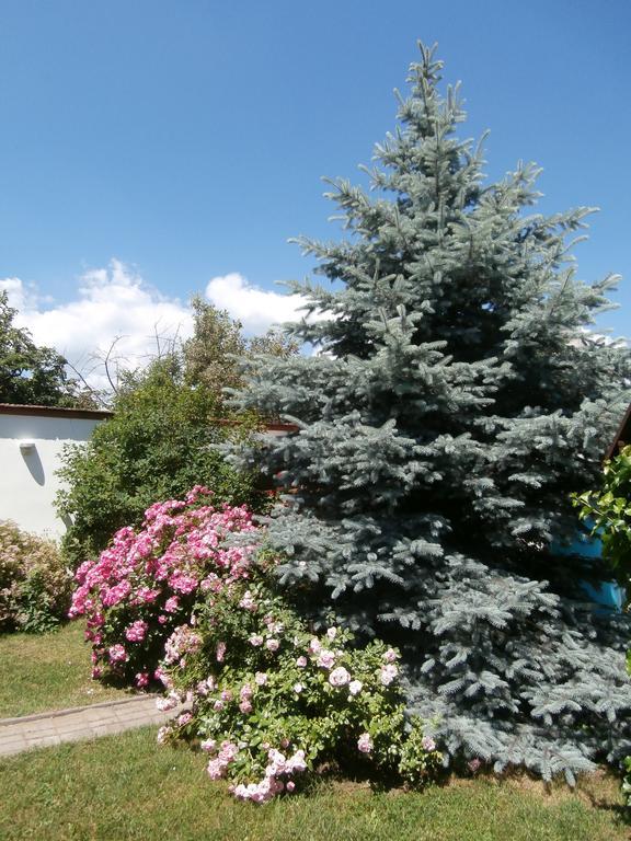 Apartman Rachegy Eger Zewnętrze zdjęcie
